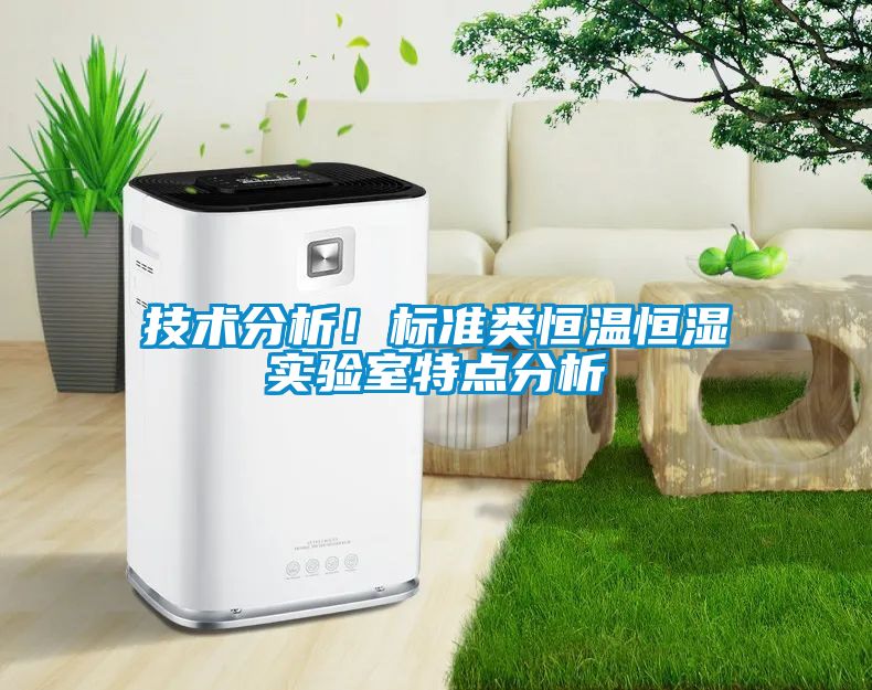 技術分析！標準類恒溫恒濕實驗室特點分析