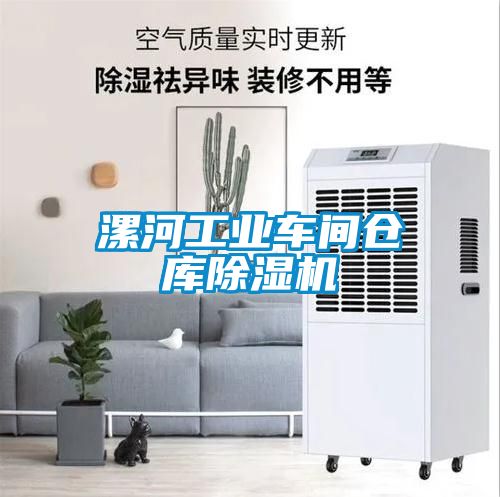 漯河工業(yè)車間倉(cāng)庫(kù)除濕機(jī)
