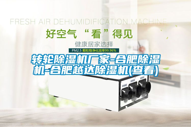轉(zhuǎn)輪除濕機廠家-合肥除濕機-合肥越達除濕機(查看)