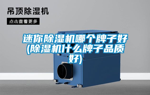 迷你除濕機(jī)哪個(gè)牌子好(除濕機(jī)什么牌子品質(zhì)好)