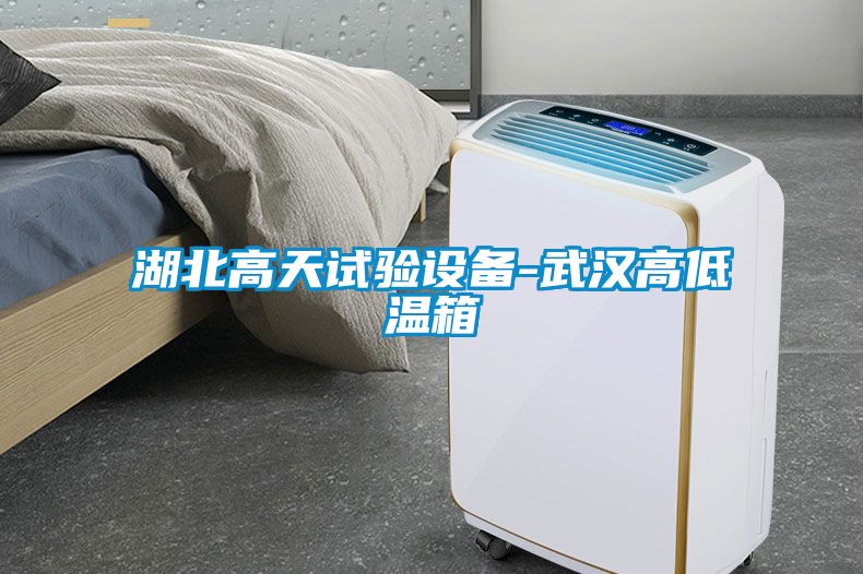湖北高天試驗設(shè)備-武漢高低溫箱