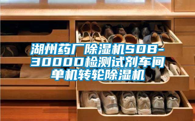 湖州藥廠除濕機(jī)SDB-3000D檢測試劑車間單機(jī)轉(zhuǎn)輪除濕機(jī)