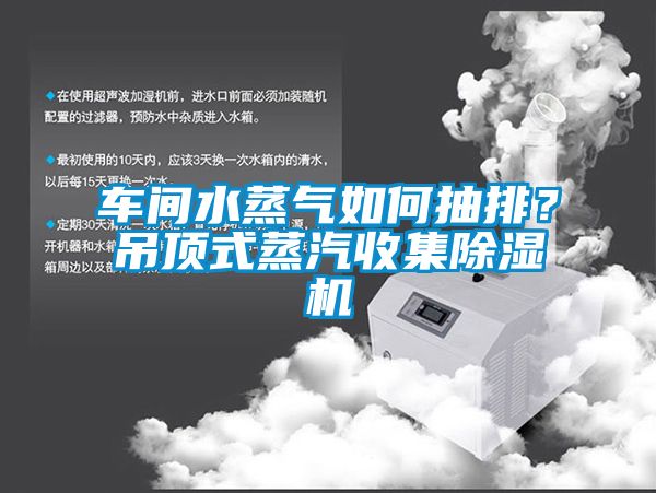 車間水蒸氣如何抽排？吊頂式蒸汽收集除濕機