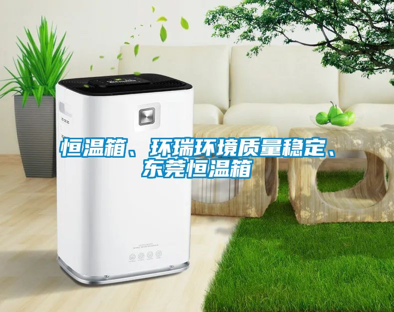 恒溫箱、環(huán)瑞環(huán)境質(zhì)量穩(wěn)定、東莞恒溫箱