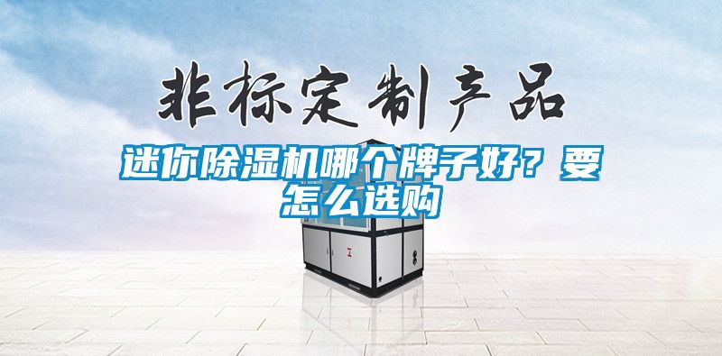 迷你除濕機哪個牌子好？要怎么選購