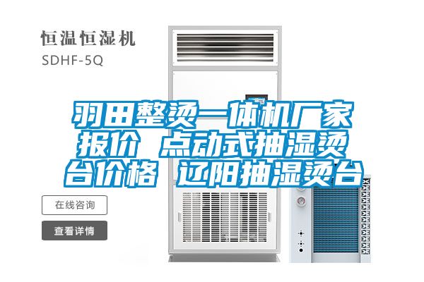 羽田整燙一體機(jī)廠家報價 點動式抽濕燙臺價格 遼陽抽濕燙臺