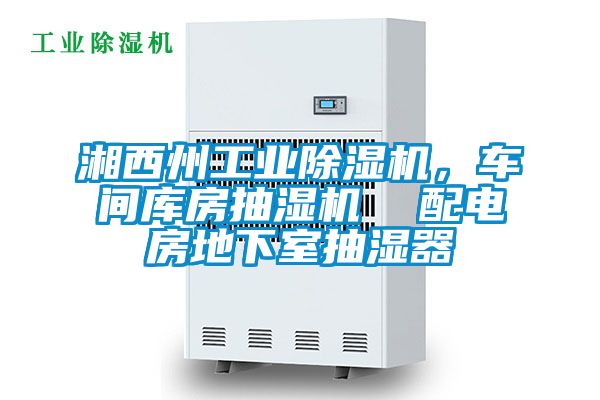 湘西州工業(yè)除濕機，車間庫房抽濕機  配電房地下室抽濕器