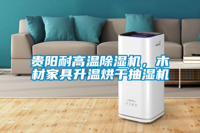 貴陽耐高溫除濕機，木材家具升溫烘干抽濕機