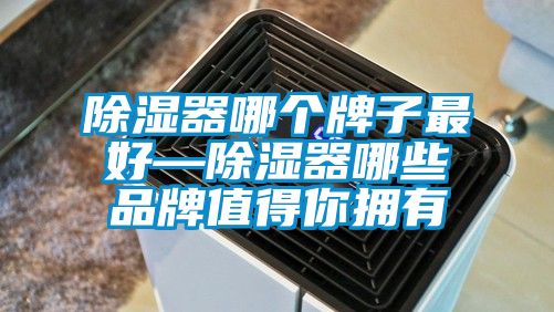 除濕器哪個(gè)牌子最好—除濕器哪些品牌值得你擁有