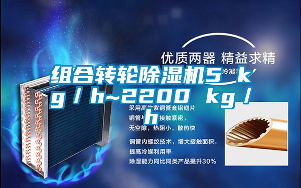 組合轉(zhuǎn)輪除濕機5 kg／h~2200 kg／h