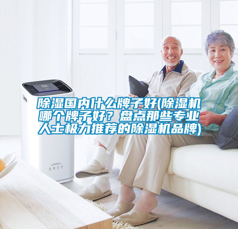 除濕國內(nèi)什么牌子好(除濕機哪個牌子好？盤點那些專業(yè)人士極力推薦的除濕機品牌)