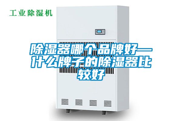 除濕器哪個(gè)品牌好—什么牌子的除濕器比較好