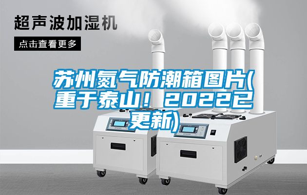 蘇州氮氣防潮箱圖片(重于泰山！2022已更新)