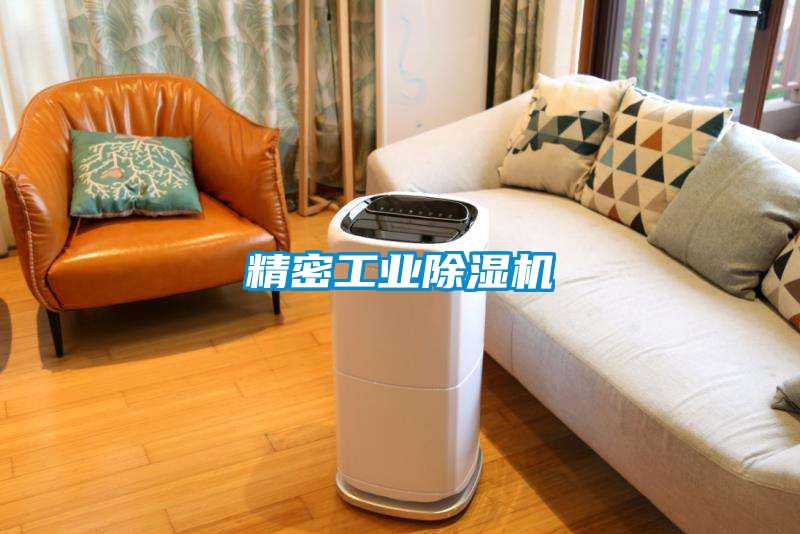 精密工業(yè)除濕機(jī)