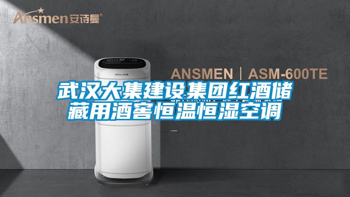 武漢大集建設(shè)集團紅酒儲藏用酒窖恒溫恒濕空調(diào)