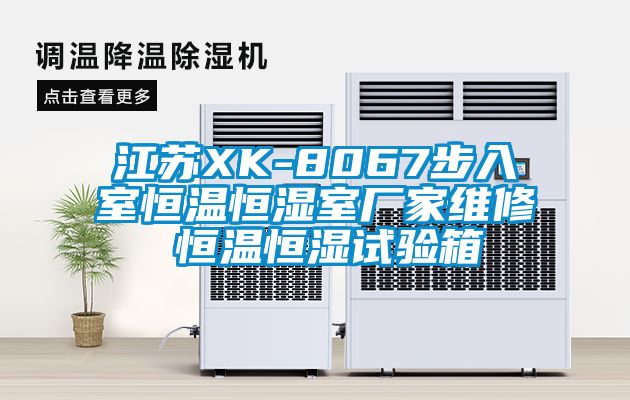 江蘇XK-8067步入室恒溫恒濕室廠家維修 恒溫恒濕試驗(yàn)箱