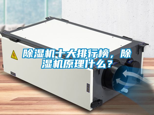 除濕機十大排行榜，除濕機原理什么？