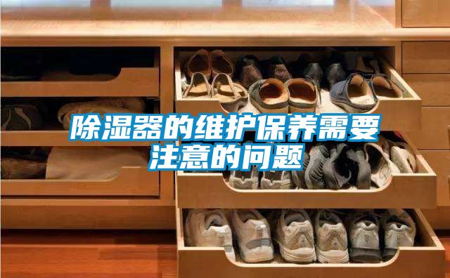 除濕器的維護(hù)保養(yǎng)需要注意的問(wèn)題