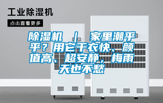 除濕機 ｜ 家里潮乎乎？用它干衣快、顏值高、超安靜，梅雨天也不愁