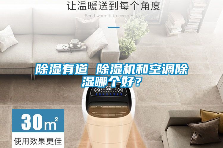 除濕有道 除濕機和空調除濕哪個好？