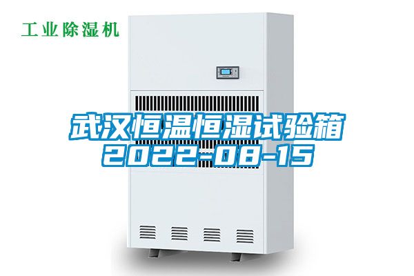 武漢恒溫恒濕試驗(yàn)箱2022-08-15