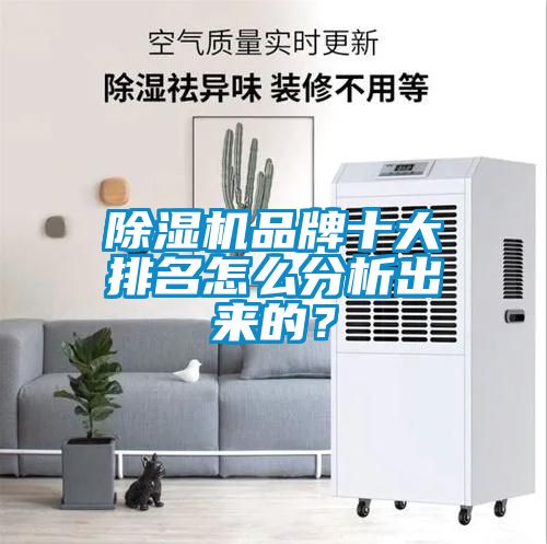 除濕機品牌十大排名怎么分析出來的？