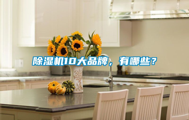 除濕機10大品牌，有哪些？