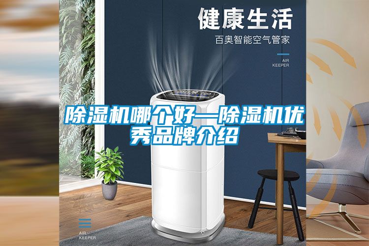 除濕機哪個好—除濕機優(yōu)秀品牌介紹