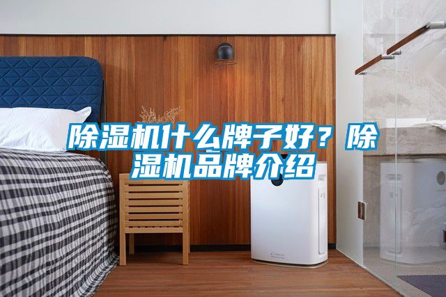 除濕機(jī)什么牌子好？除濕機(jī)品牌介紹