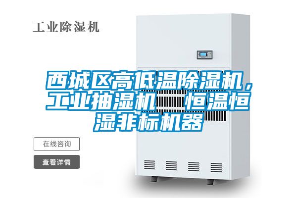 西城區(qū)高低溫除濕機，工業(yè)抽濕機  恒溫恒濕非標機器