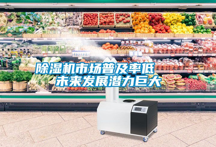 除濕機(jī)市場(chǎng)普及率低   未來(lái)發(fā)展?jié)摿薮?/></p>
<p style=
