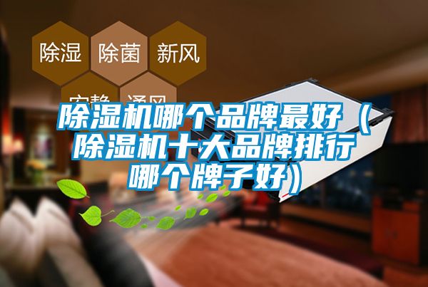 除濕機(jī)哪個品牌最好（除濕機(jī)十大品牌排行哪個牌子好）
