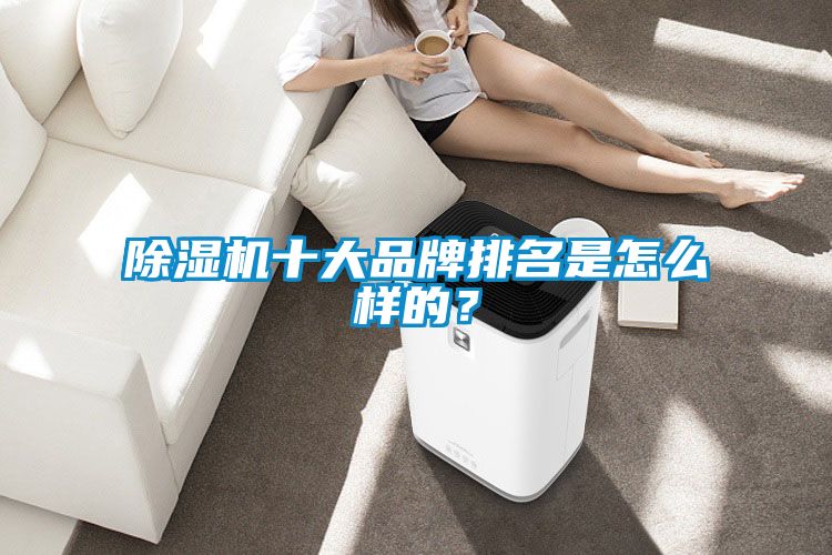 除濕機(jī)十大品牌排名是怎么樣的？