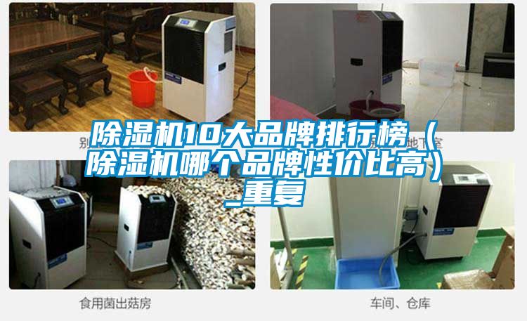 除濕機10大品牌排行榜（除濕機哪個品牌性價比高）_重復(fù)