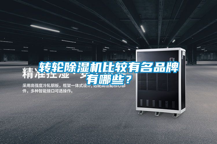 轉(zhuǎn)輪除濕機比較有名品牌有哪些？