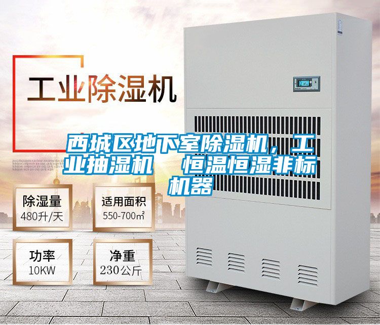 西城區(qū)地下室除濕機(jī)，工業(yè)抽濕機(jī)  恒溫恒濕非標(biāo)機(jī)器