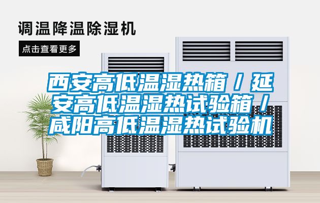 西安高低溫濕熱箱／延安高低溫濕熱試驗箱／咸陽高低溫濕熱試驗機(jī)