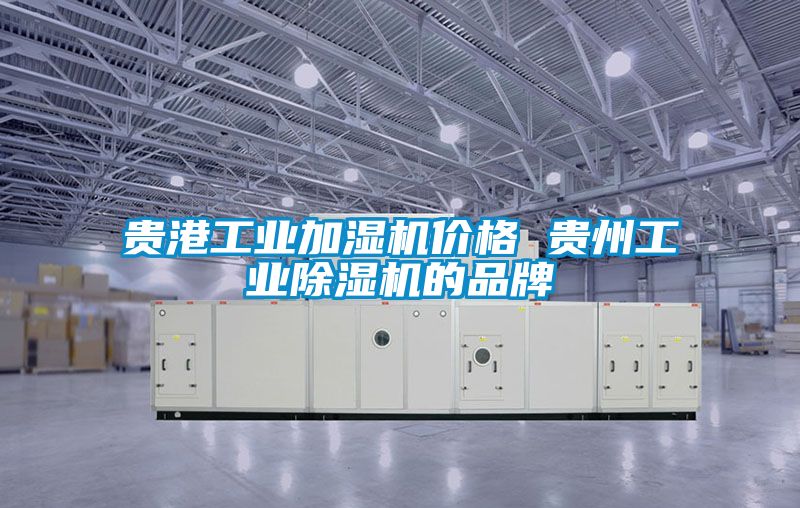 貴港工業(yè)加濕機(jī)價(jià)格 貴州工業(yè)除濕機(jī)的品牌