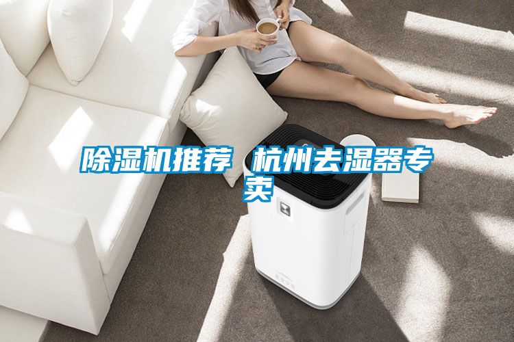 除濕機(jī)推薦 杭州去濕器專賣
