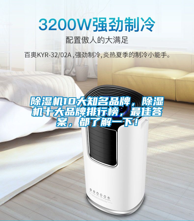 除濕機10大知名品牌，除濕機十大品牌排行榜，最佳答案，都了解一下！