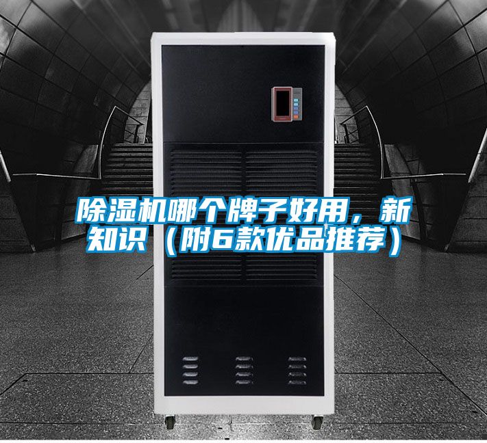 除濕機哪個牌子好用，新知識（附6款優(yōu)品推薦）