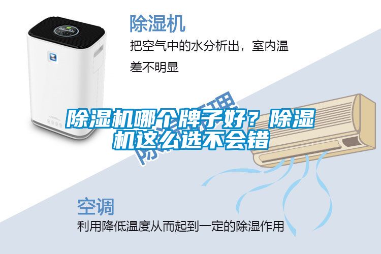 除濕機(jī)哪個牌子好？除濕機(jī)這么選不會錯