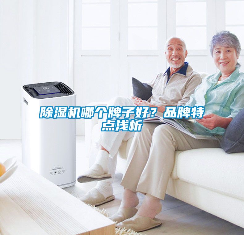 除濕機(jī)哪個牌子好？品牌特點(diǎn)淺析