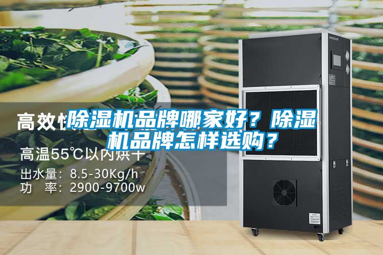 除濕機品牌哪家好？除濕機品牌怎樣選購？