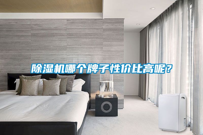 除濕機哪個牌子性價比高呢？