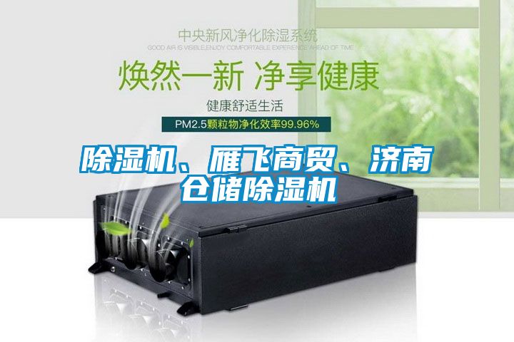 除濕機、雁飛商貿、濟南倉儲除濕機