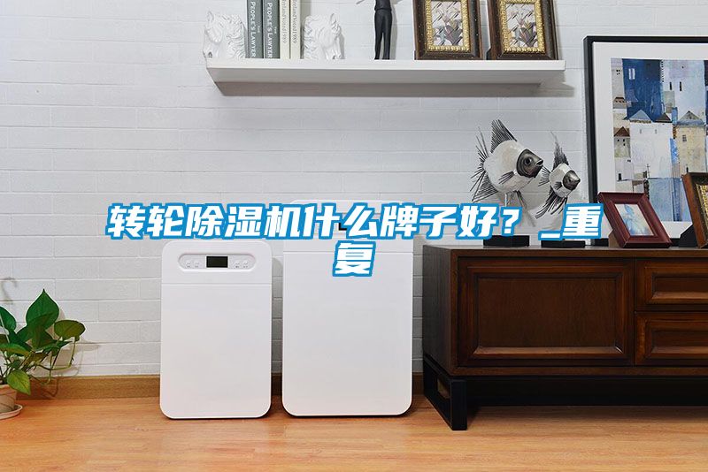 轉輪除濕機什么牌子好？_重復