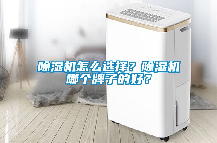 除濕機怎么選擇？除濕機哪個牌子的好？