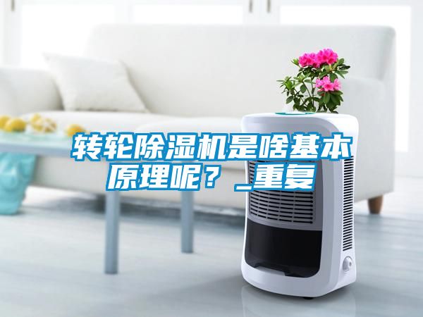 轉輪除濕機是啥基本原理呢？_重復
