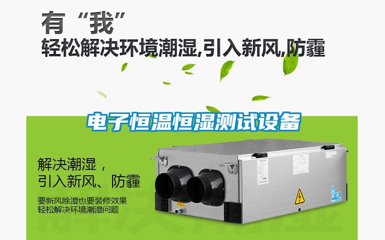 電子恒溫恒濕測試設(shè)備
